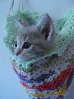 awwww-cute:  My friend crochets and she just