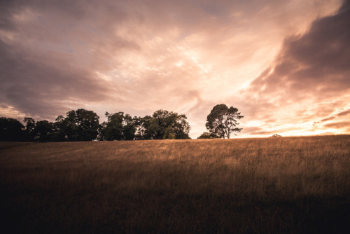 frederick-ardley:  Sun - Fog - Sun - Fog Photographed by Frederick Ardley Follow on Instagram @frederickardley 