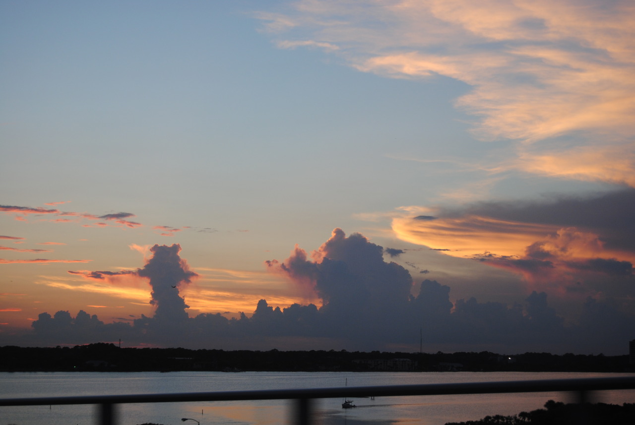 catsandcunts:  Florida sunsets&gt; 