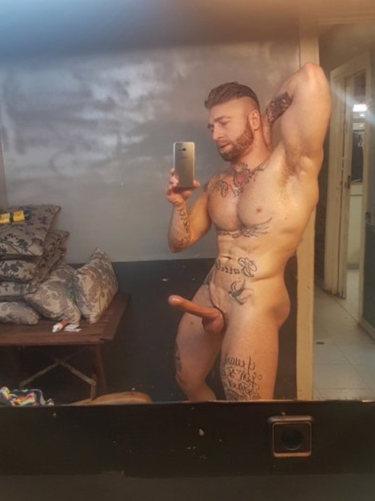 donatoxxx:  Italian Stud 