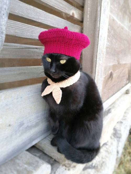 Beret for Cats by GreenSlipStitch 