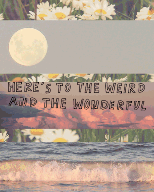 reckless, cynical, full of glee
