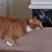 goodgrammaritan:Bumi#mood