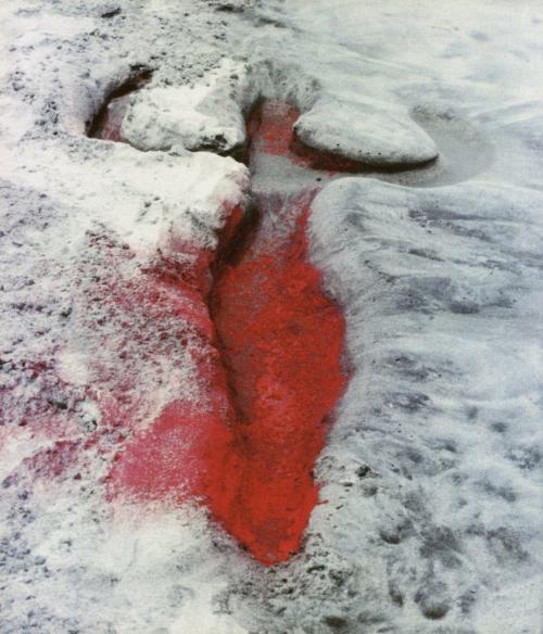 mayagoo:  Ana Mendieta–“Earth-Body” Works 1. Anima, Silueta de Cohetes, 1976 2. Flowers on Body, 1974 3. Untitled (Silueta Series), 1973 