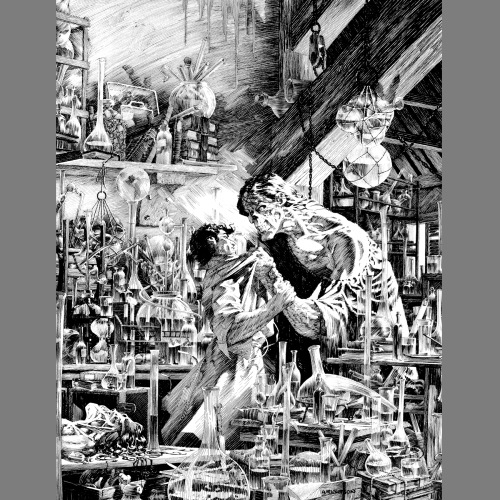 A while back I posted about the 90s Bernie Wrightson retrospective A Look Back and said that it was 