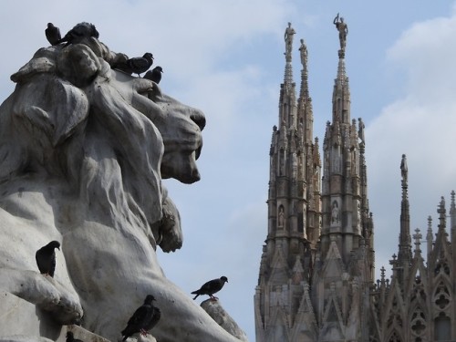 Milano and the story about lions&hellip;