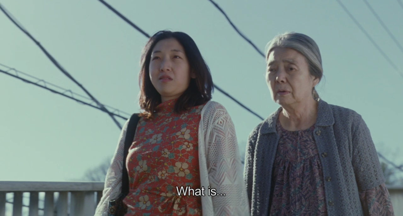 addictofcinema:  Shoplifters (2018) Hirokazu Kore-eda 