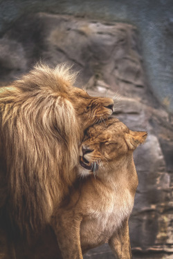 visualechoess:  dangerous kiss by: Tomas Piller 