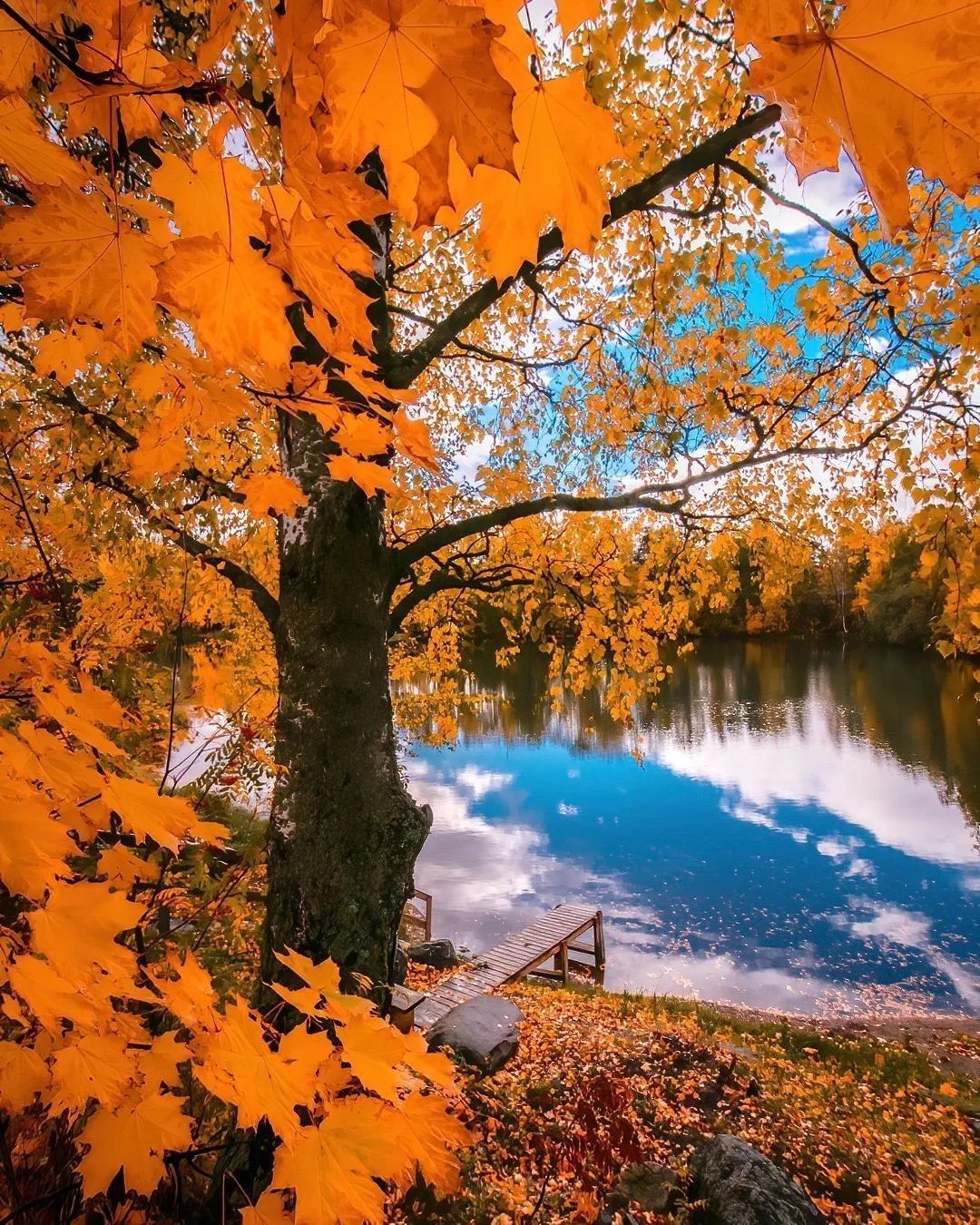 Autumn in Finland 🍂 Follow...