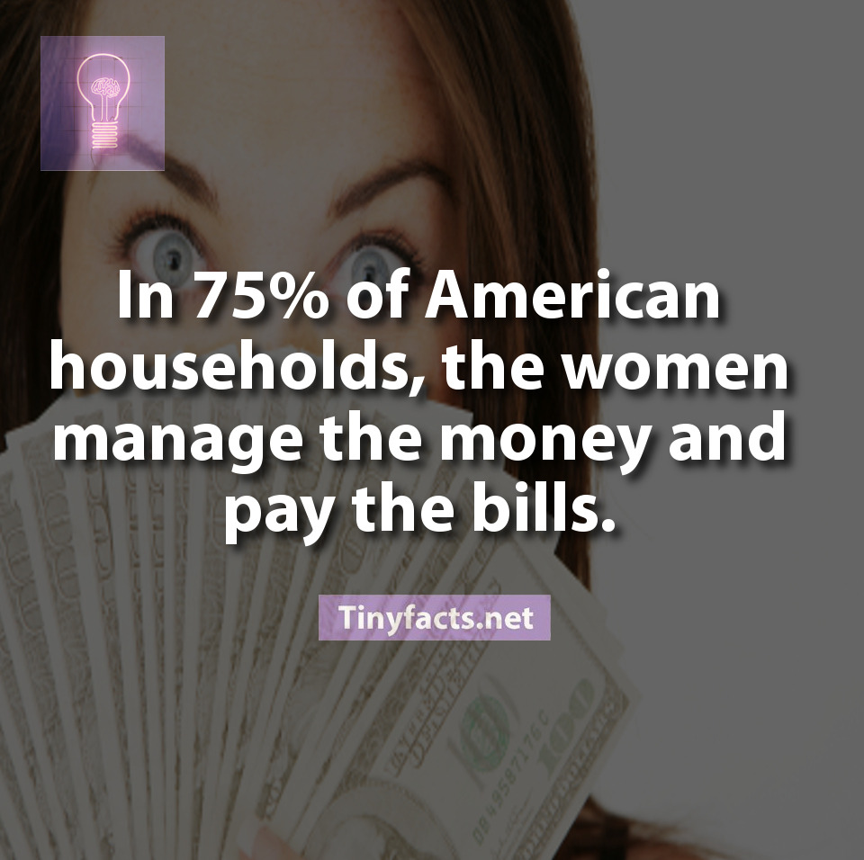 More at: Tinyfact’s Facebook | Youtube | Instagram