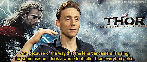 love-the-avenger:If Tom ever does search himself up on Tumblr again… he’ll be a changed man.