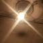haloanabiosis