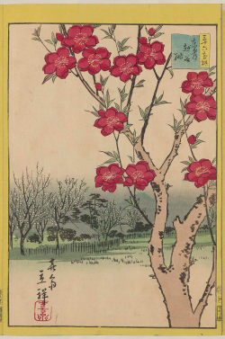 heaveninawildflower:  ‘Peach Blossoms at Koshiga in the Eastern Capital’ (1866).  Woodblock print by  	Utagawa Hiroshige II (1826–1869). Publisher 	Tsutaya Kichizô Image and text courtesy MFA 