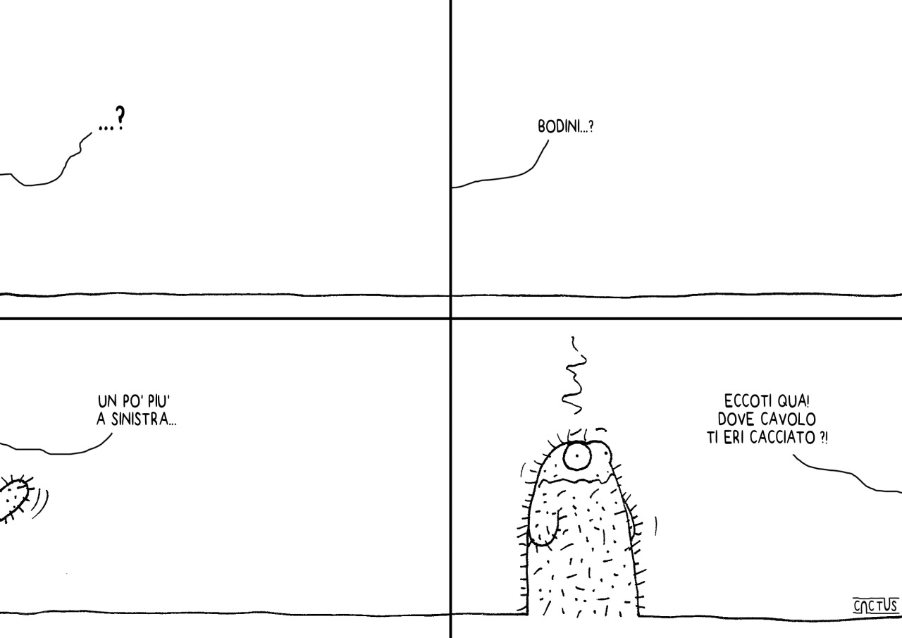 SENZA TITOLO (come i grandi capolavori&hellip;)