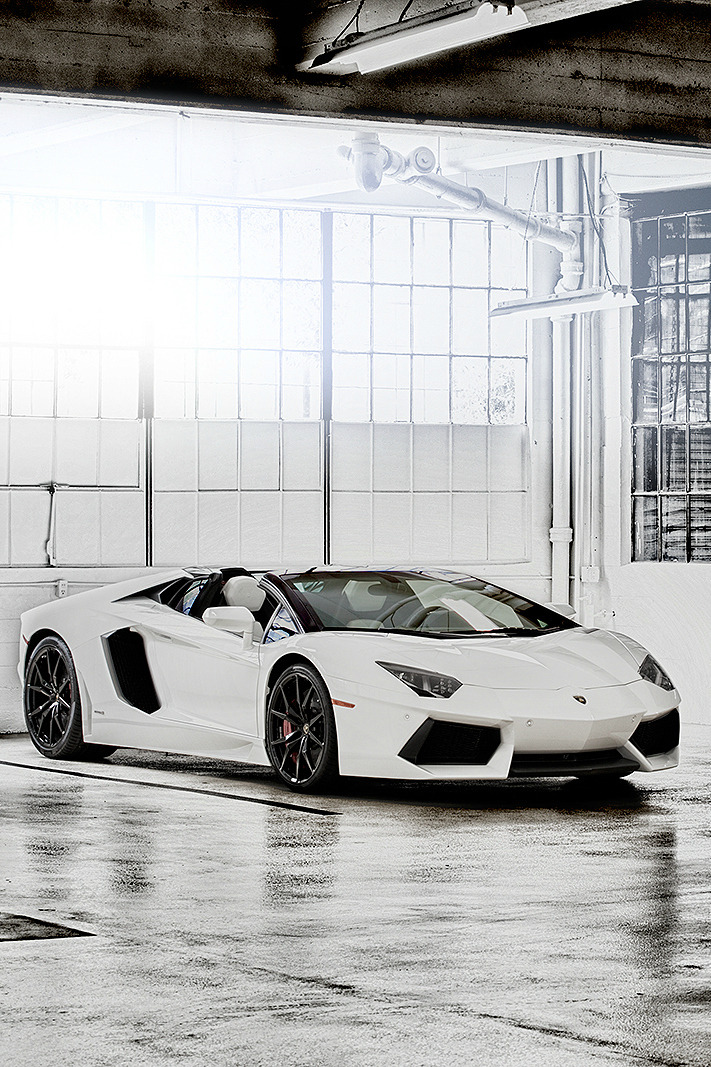 Premium Elegance.
