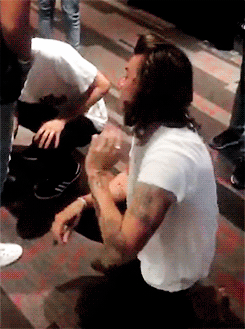 louis-william: +
