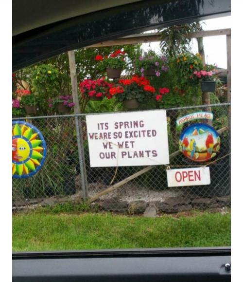 Wit.  Sex.  Landscaping.  I so could have adult photos