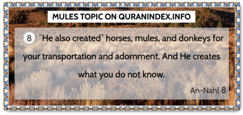 Discover Quran Verses about #Mules @ https://quranindex.info/search/mules [16:8] #Quran #Islam