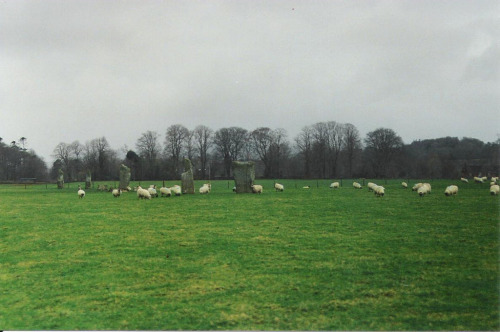 englishsnow:  Scotland by Samantha Nason 