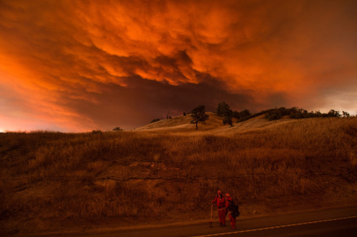 Dozens of wildfires are scouring California this summer in what may go down as the worst fire season