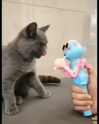 ofcoursethatsathing:  How to share your lollipop with your cat[link of toy…]