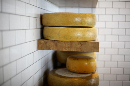 Cheese blocks, Babylonstoren. 