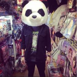 tinioor:  Do you like pandas ? I have! pic