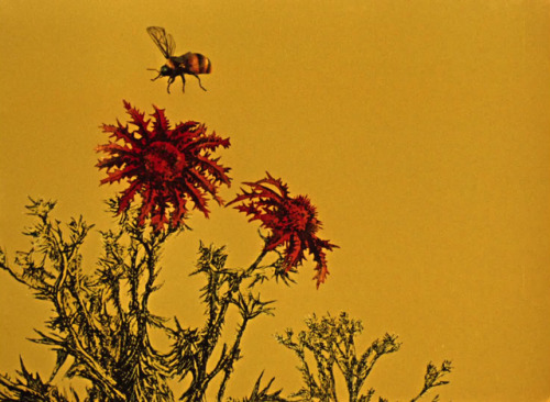 ozu-teapot:The Fabulous Baron Munchausen | Karel Zeman | 1962