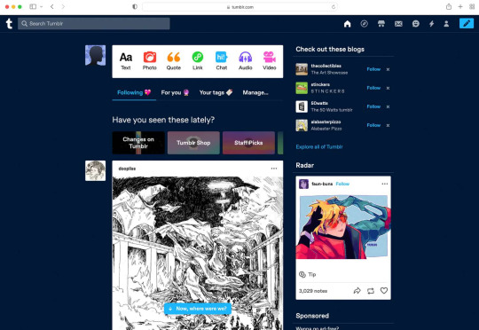 Tumblr media