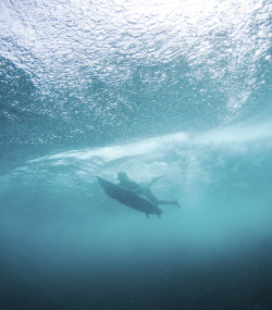 wslofficial:  No competition today!Check back tomorrow for a possible start! 7:30am HST (9:30am PT, 3:30pm BRST, 4:30am AEDT) ‪#‎TargetMauiPro‬ ‪#‎LayDay‬Photo | @wslofficial