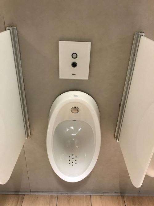 Two different restrooms at the airport of Rome in Italy . They did have urinals, it was difficult to