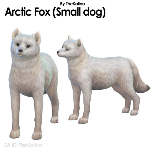 Arctic Fox: ea.com/games/the-sims/the-sims-4/pc/gallery/AB5CA13E21E611EB862AF063F73A62CC EA 