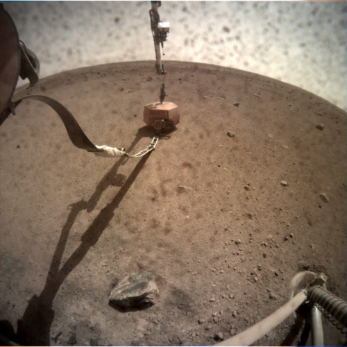 InSight: Sol 24’s small batch of Mars photos. And now that the US government has gone into yet