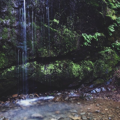 “How wet do you want to get?” (at Indian Valley Open Space Preserve)