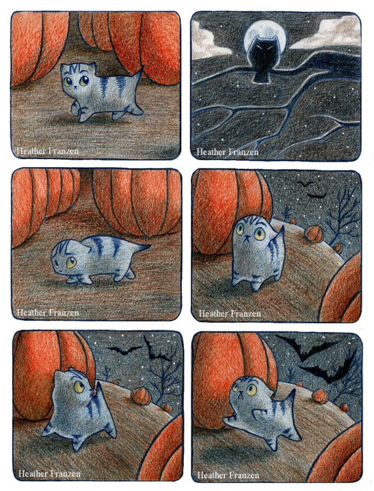 catsbeaversandducks:  Scaredy Cat &ldquo;Scaredy Cat is my first picture book,