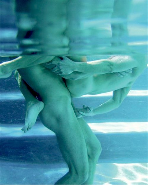 lexus9137:  wvilldog:  Pool frolicking  Mmmmmm!