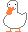 very small white duck gif moving its head closer to the viewer while looking directly at them