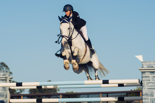 Sonoma Horse Show 15.5.16 Grand Prix!