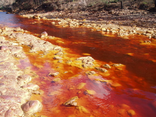 Spain’s Red RiverNo, it is not a Biblical plague.The Rio Tinto in southwestern Spain has more than j