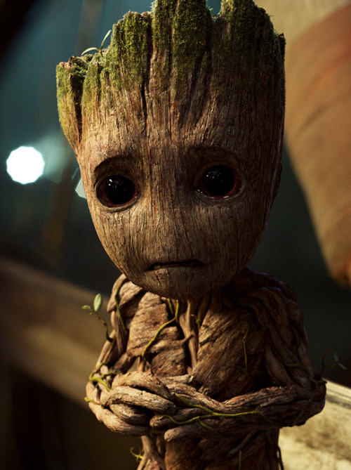 emmaduerrewatson:  Baby Groot in Guardians of the Galaxy Vol. 2  PROTECT HIM
