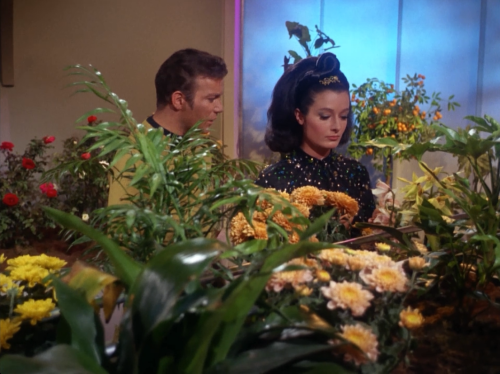 010011010100101001001101: Star Trek: Plants