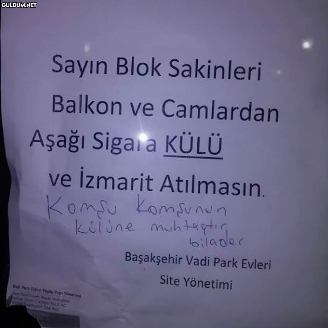 Sayın Blok...