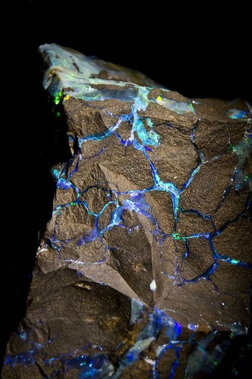 unearthedgemstones:  gorgeousgeology:  Close up of Opal veins in a stone.   Like lightning coming through this stone 