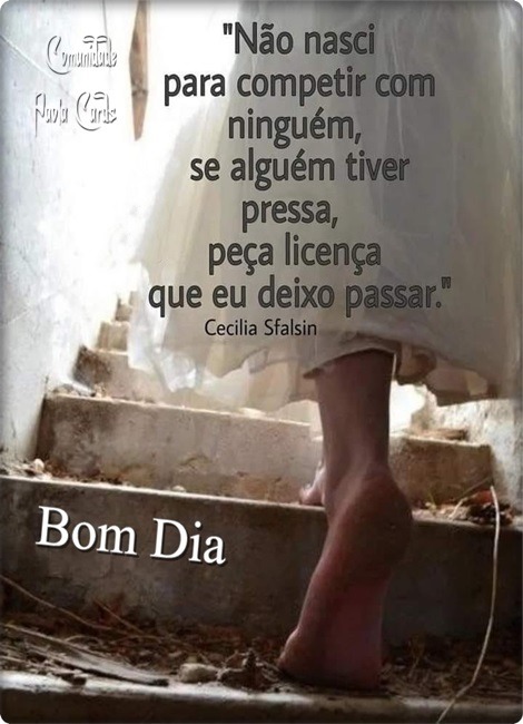 1a4235e950a8c0a3a3d1b45d8938db72b24990e8