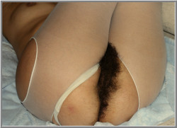 naturalhairybush:   