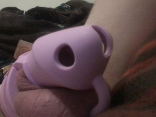 XXX wanttobefem:  My first chastity device. So photo