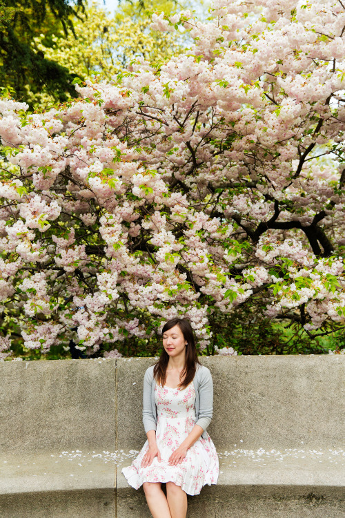 Brooklyn Botanical Garden.  Brooklyn, NY.