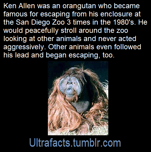 ultrafacts: Source: [x] Follow Ultrafacts for more facts! 