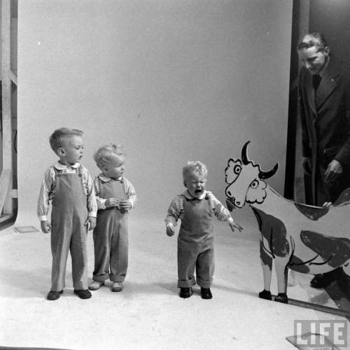 Attacked by a two-dimensional cow(Nina Leen. 1948)