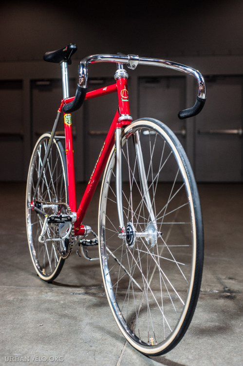 bikeplanet:  Cherubim NJS Track Bike 